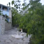 Petrinο Katochori * Katokhorion (Lefkada)
